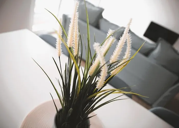 Lejlighed Beautiful Stylish 2br In Kirchberg *