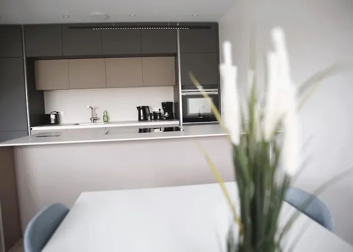 Lejlighed Beautiful Stylish 2br In Kirchberg Luxembourg By