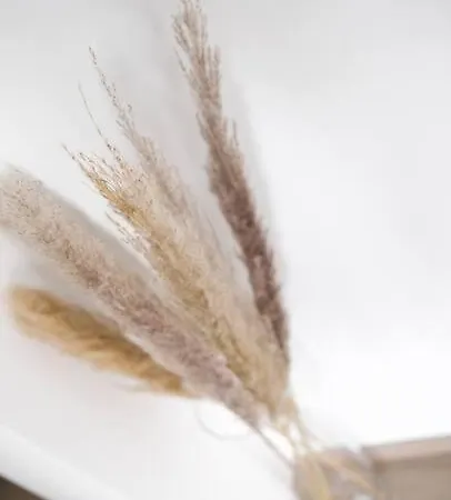 Beautiful Stylish 2br In Kirchberg Luxemburgo