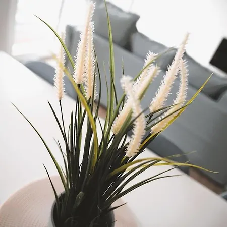 Lägenhet Beautiful Stylish 2br In Kirchberg *