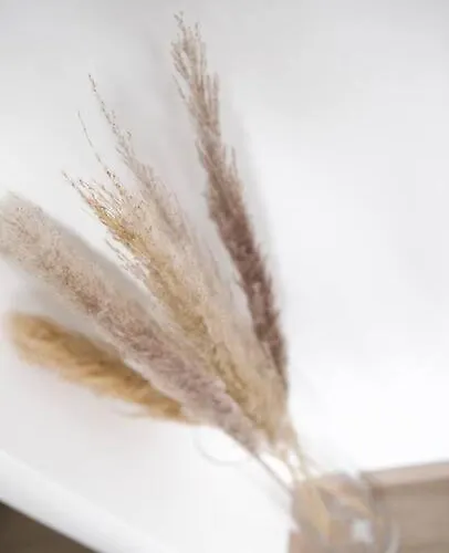 Beautiful Stylish 2br In Kirchberg Luxembourg